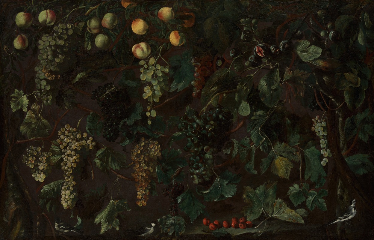 Grape Vines and Fruit, with Three Wagtails by Bartolomeo Cavarozzi — digital art print download