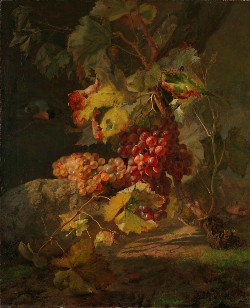 Still Life with Grapes by Франц Дидерик Бё, 1852 — digital art print download