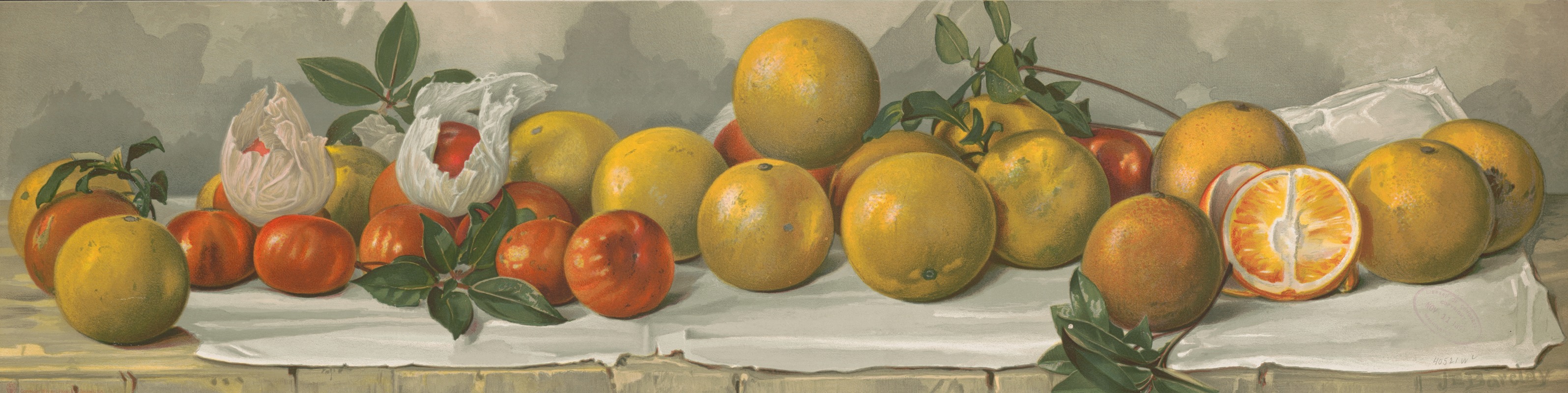 Study of oranges by J. E. Barclay, 1891 — digital art print download