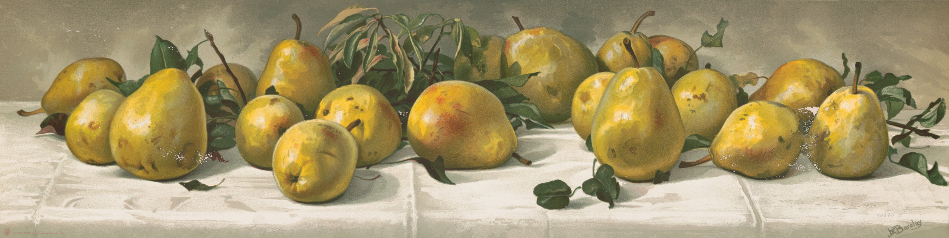 Study of pears by J. E. Barclay, 1891 — digital art print download