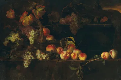 Grapes and peaches in a wicker basket with other fruit on a ledge, a landscape beyond by Николас де Ларжильер — digital art…
