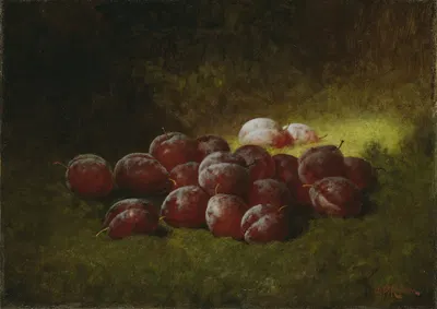 Purple Plums by Carducius Plantagenet Ream, 1895 — digital art print download