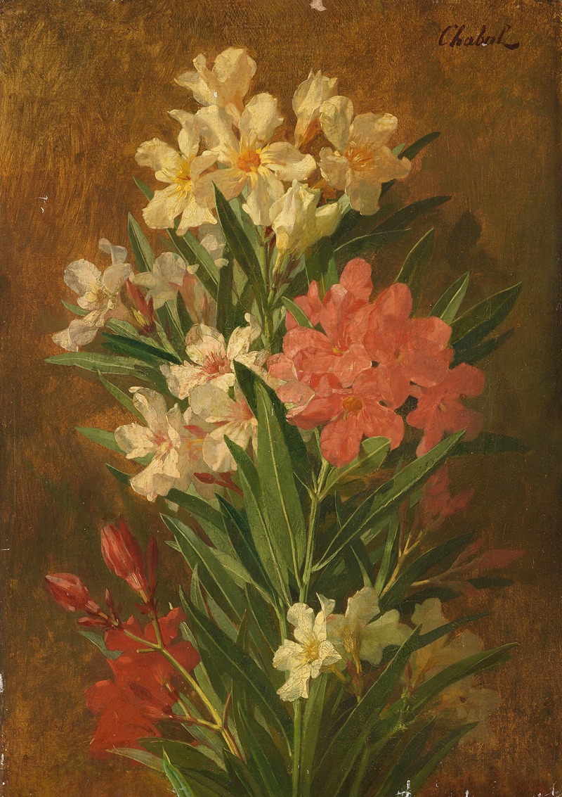 Red and white flowering oleander by Pierre Adrien Chabal-Dussurgey — digital art print download