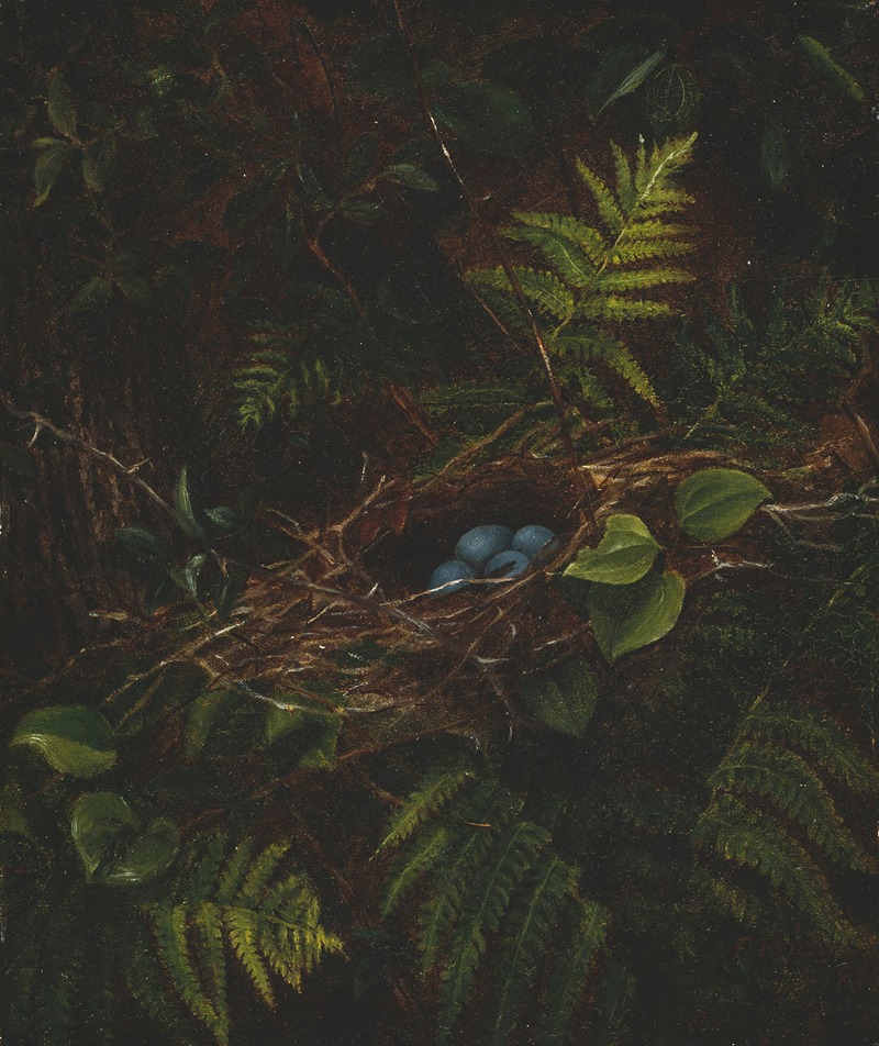 Bird’s Nest and Ferns — Fidelia Bridges