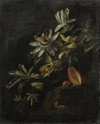 Still Life with Passionflowers by Elias van den Broeck, 1670 - 1708 — digital art print download