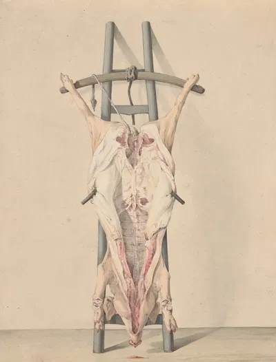 Geslacht varken by Жан Бернар, 1796 — digital art print download