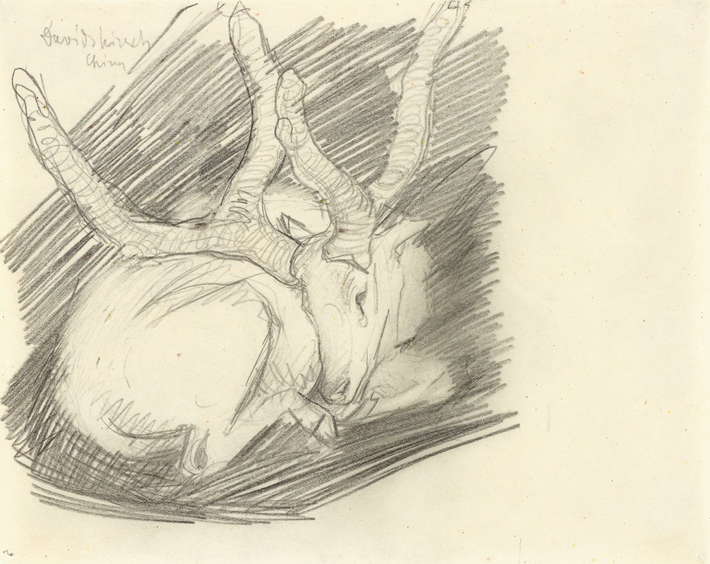 Davidshirsch (Liegender Hirsch) by Франц Марк, 1910 — digital art print download