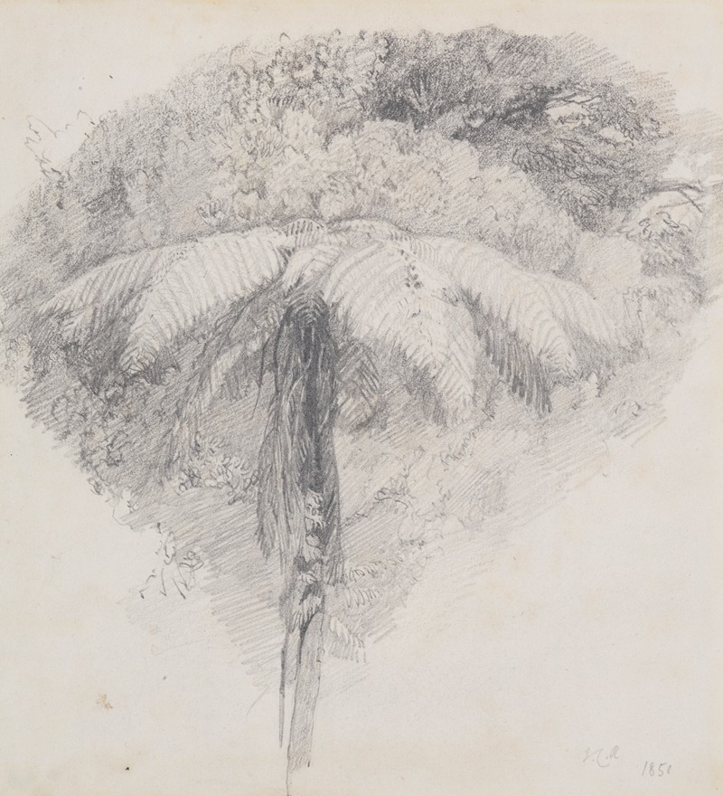 Mamaku, Taranaki by Джеймс Кроу Ричмонд, 1851 — digital art print download