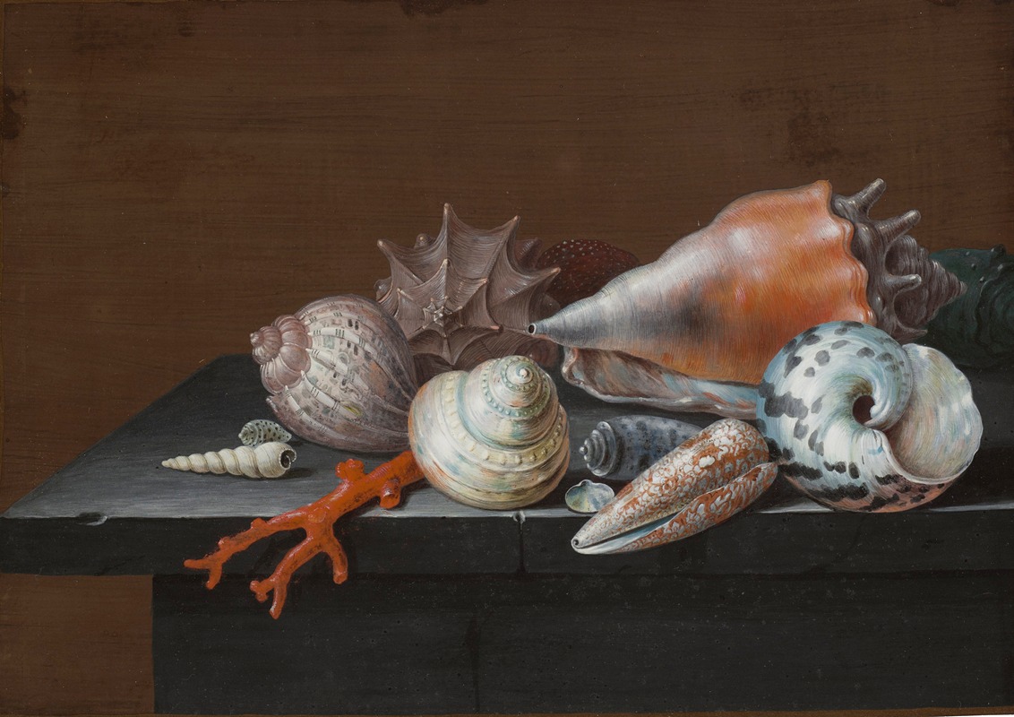 Still life with shells and coral on a table by Johann Jakob Dietzsch — digital art print download