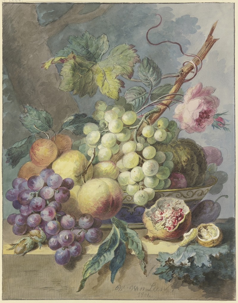 Fruchtstück mit Trauben, Pfirsichen usw., dabei eine Rose — Willem van Leen