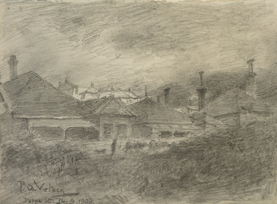 Duppa St, Wellington by Петр ван дер Вельден, 1909 — digital art print download
