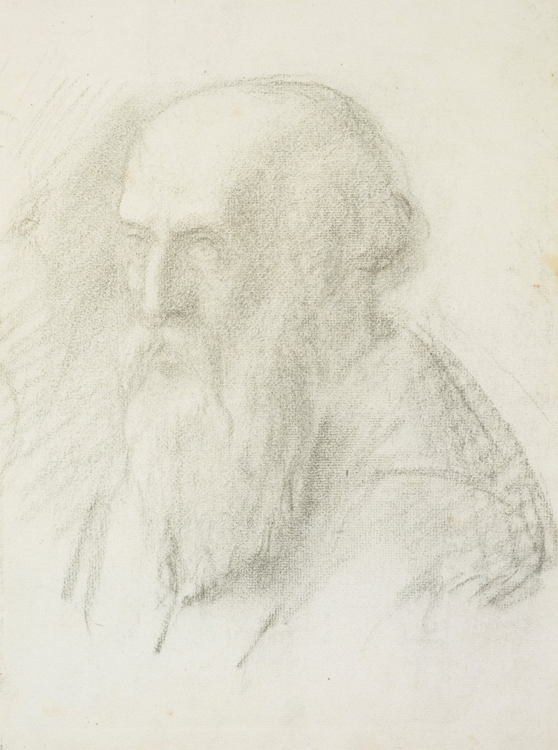 Head of an old man — Petrus van der Velden
