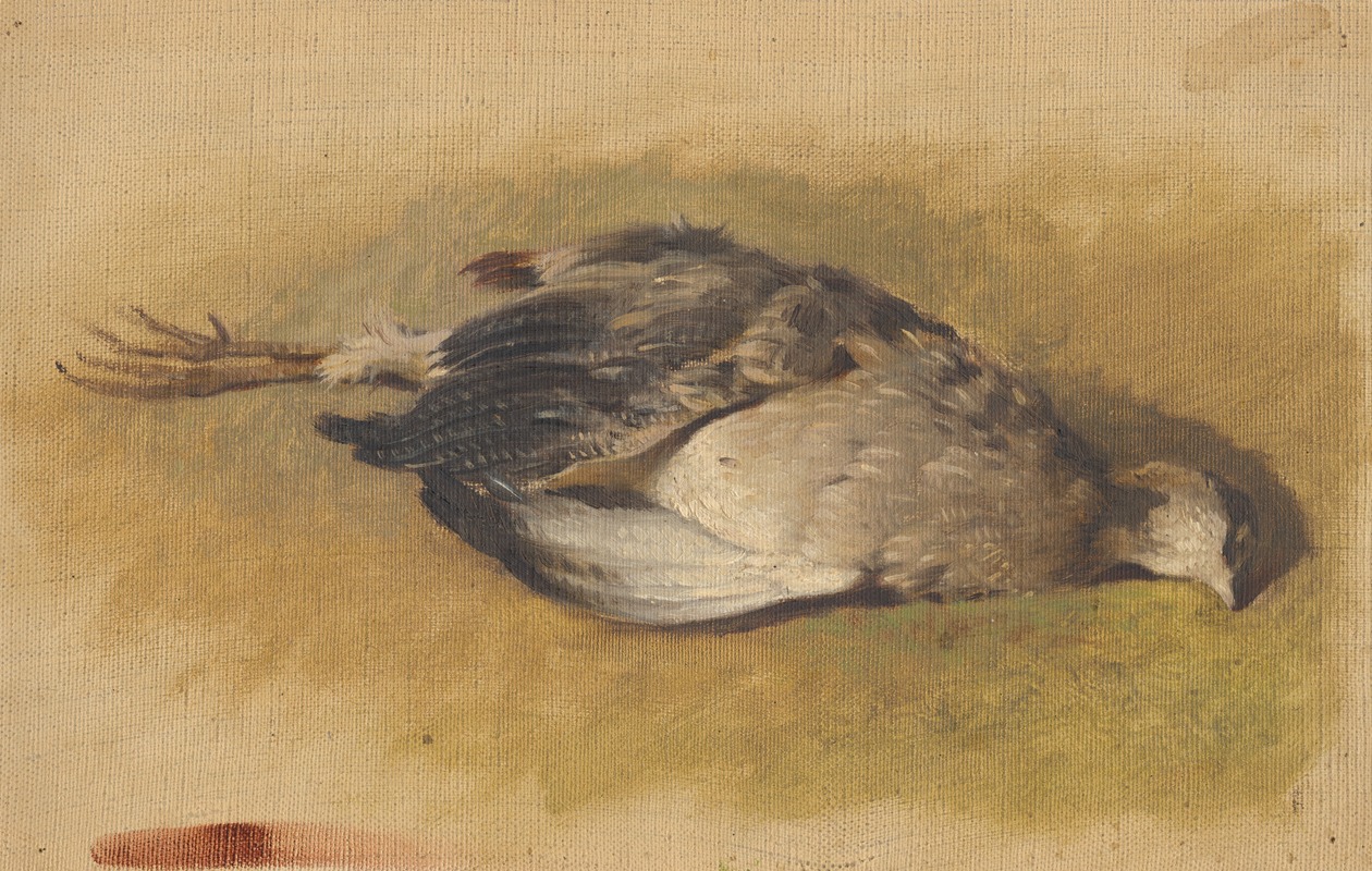 Sketch of a Dead Partridge — Friedrich Carl von Scheidlin