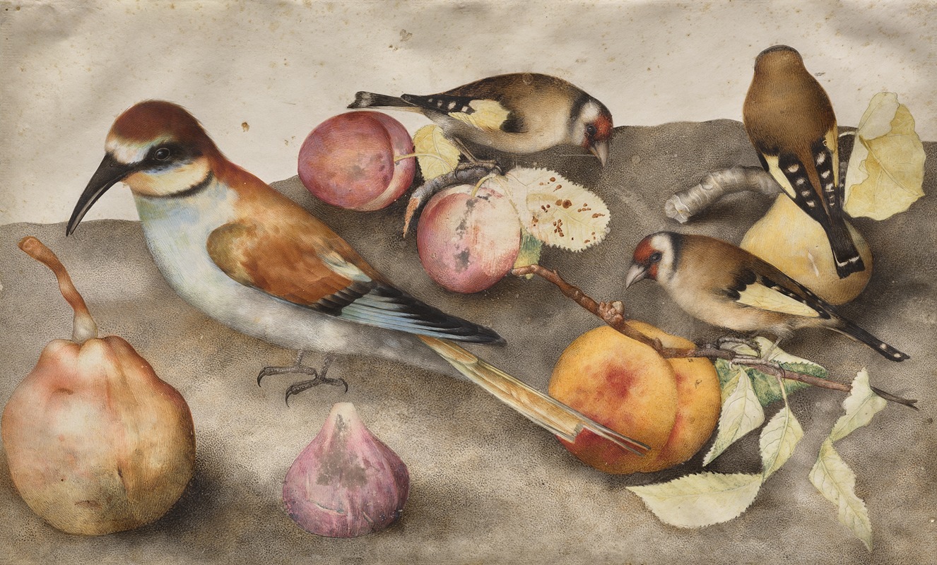 Still Life with Birds and Fruit — Giovanna Garzoni