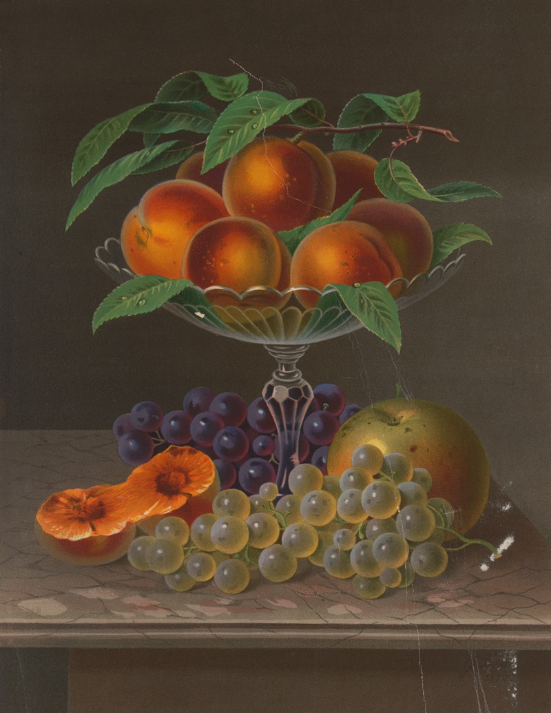 Fruit no. 1 by Эдмунд Фёрстер и Ко — digital art print download