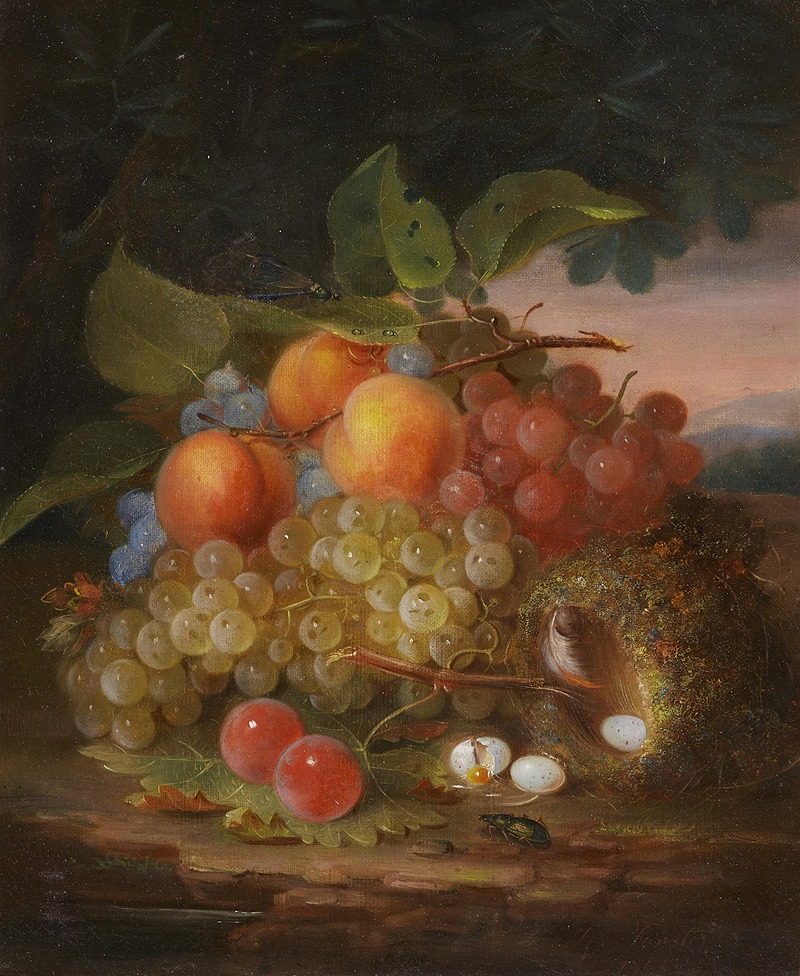 Stillleben mit Früchten und Vogelnest — George Forster