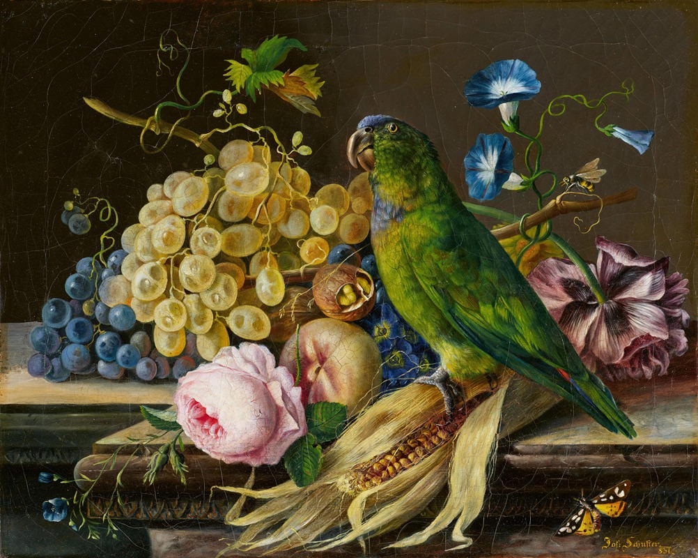 Stillleben mit Papagei by Josef Schuster, 1834 — digital art print download