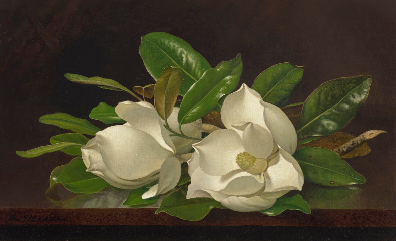 Magnolias on a Shiny Table by Мартин Джонсон Хид — digital art print download