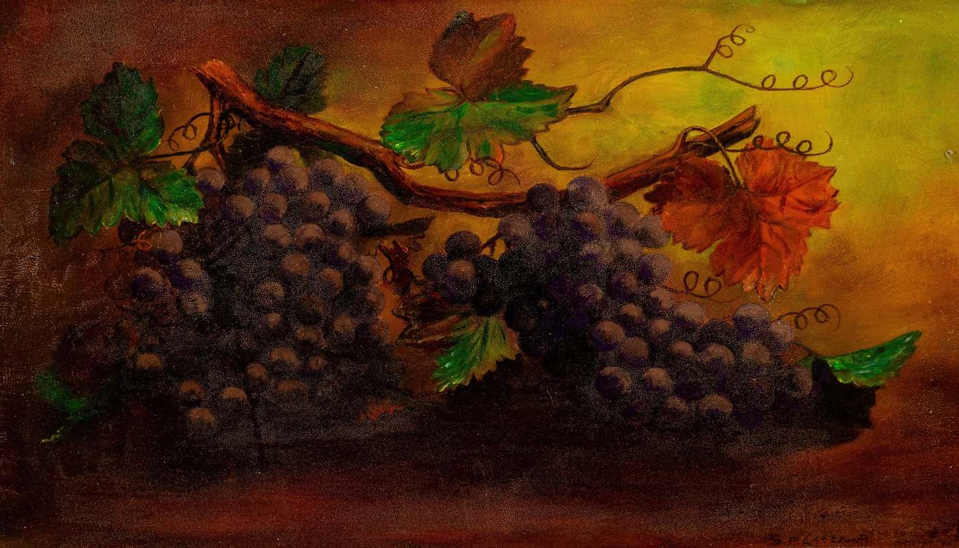 Study of Grapes by Sabrina Lathrop — digital art print download