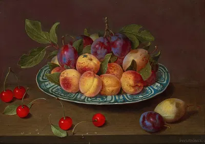 Still life with kraak porcelain dishes, cherries, plums and apricots on a tabletop by Jacob van Hulsdonck — digital art…