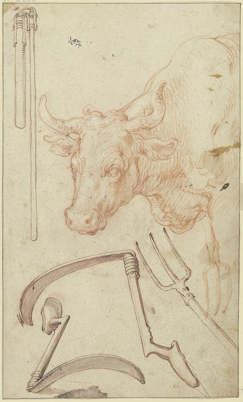 Studienblatt; Landwirtschaftliche Geräte und ein Stierkopf — Abraham Bloemaert