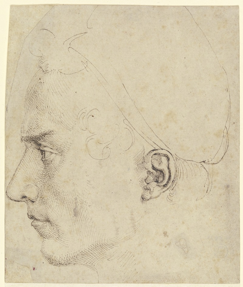 Male head in profile by Альбрехт Дюрер — digital art print download