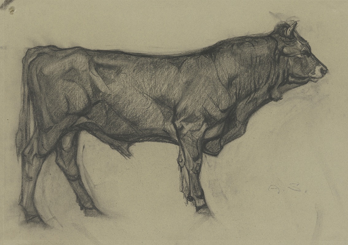 Stier nach rechts stehend by Альфред Шнаарс — digital art print download