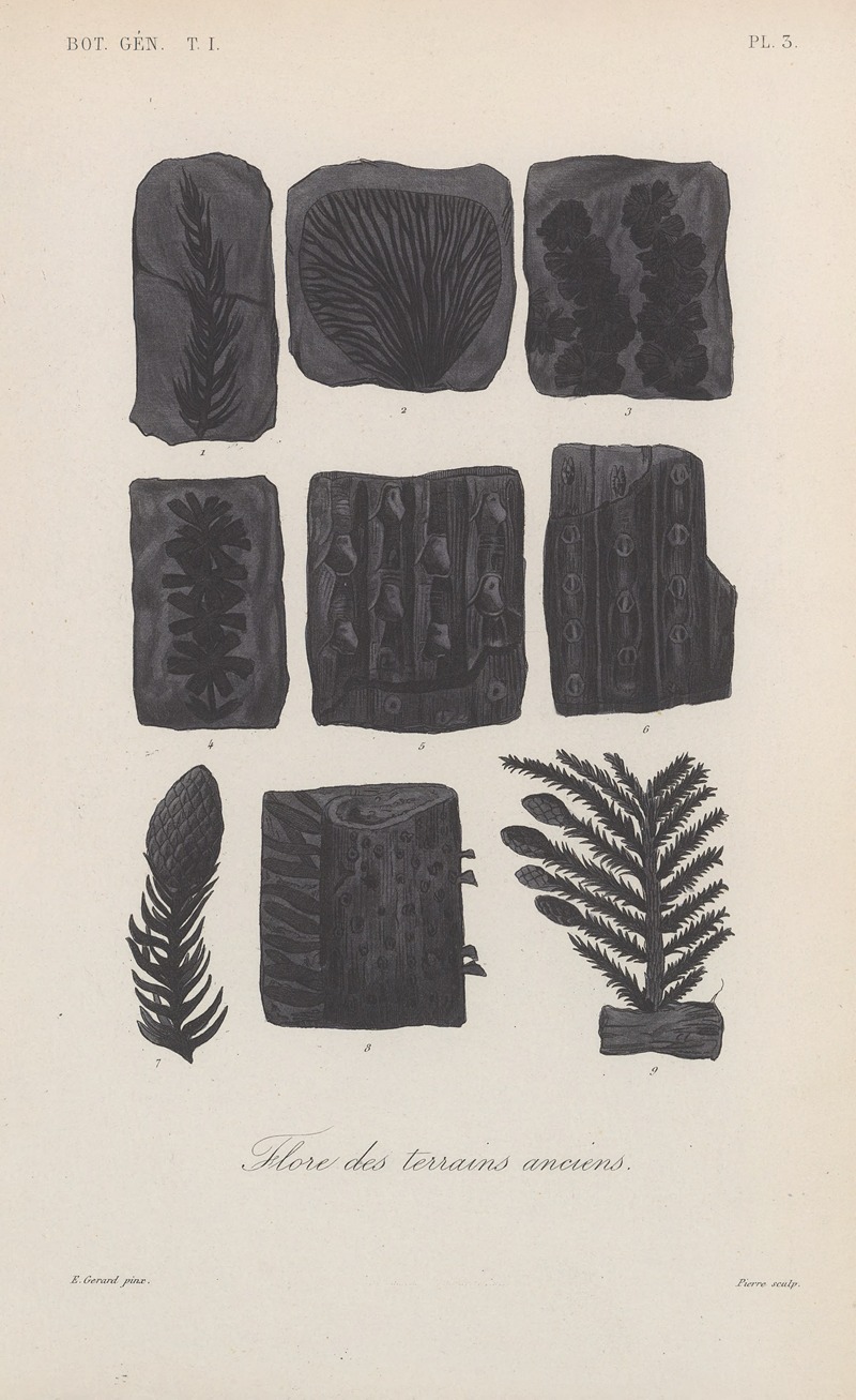 Traité de botanique générale Pl.003 by François Hérincq — digital art print download