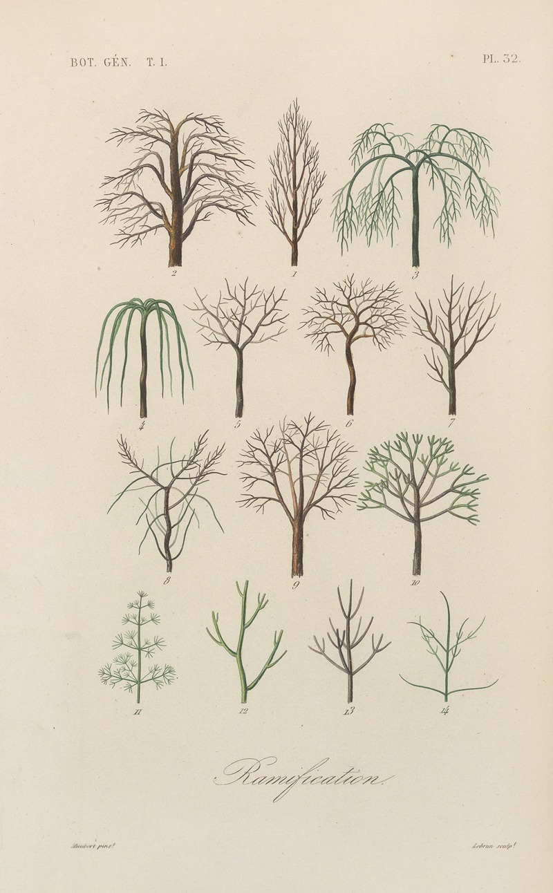 Traité de botanique générale Pl.033 by François Hérincq — digital art print download