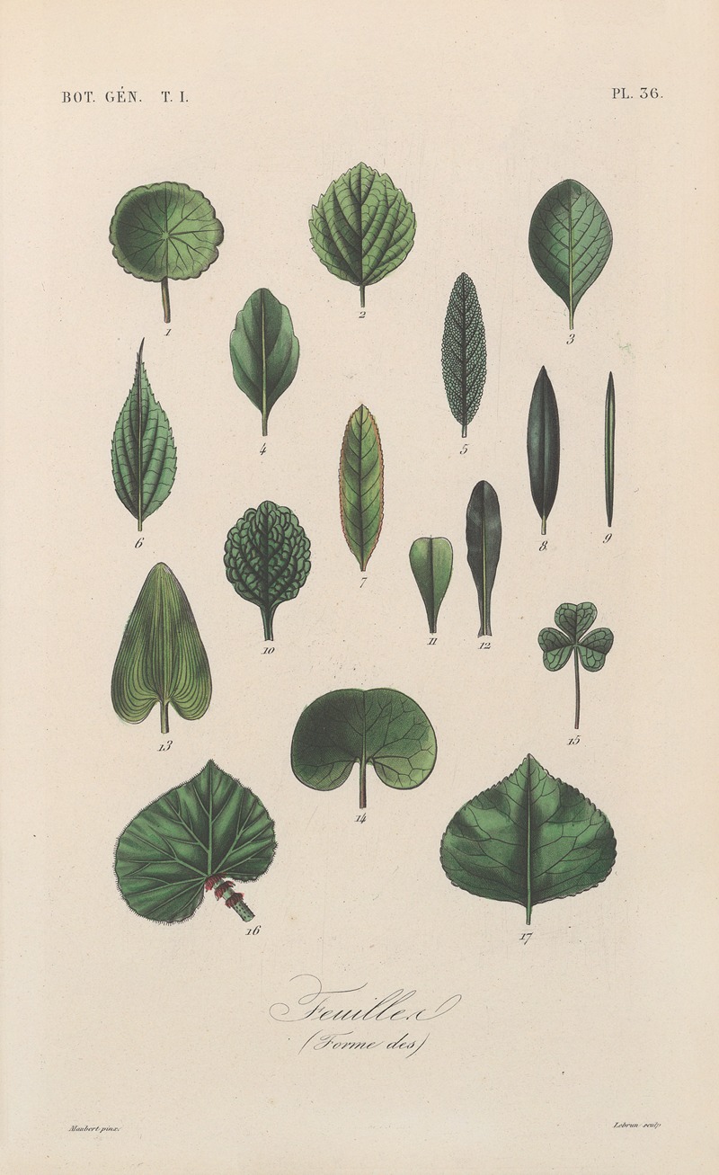 Traité de botanique générale Pl.037 by François Hérincq — digital art print download