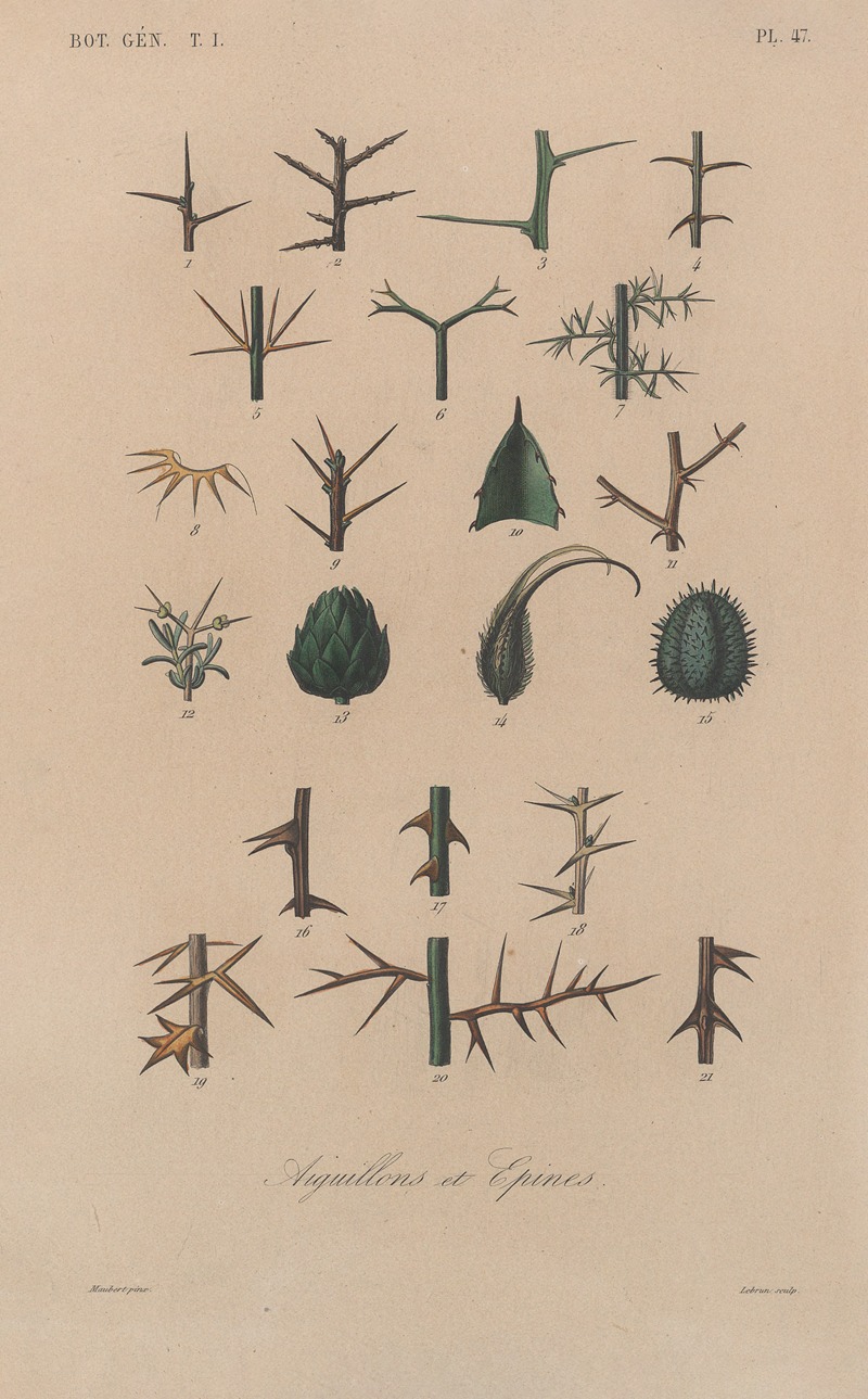 Traité de botanique générale Pl.048 by François Hérincq — digital art print download