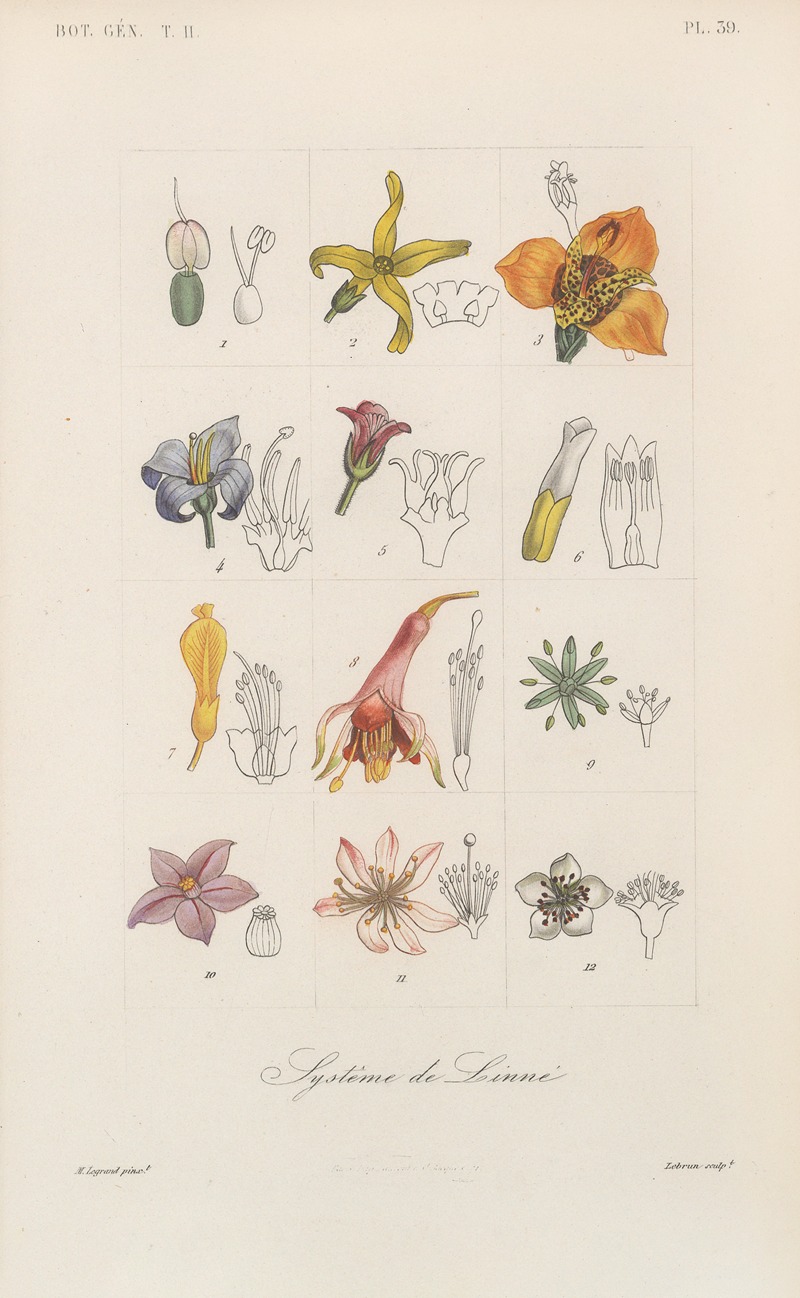 Traité de botanique générale Pl.090 by François Hérincq — digital art print download