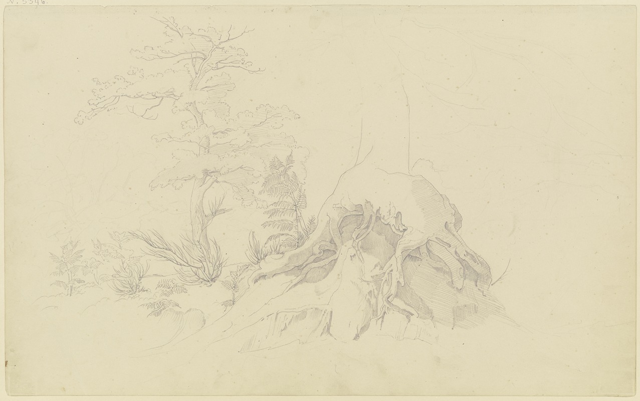 Exposed tree root by Август Лукас, 1830-1831 — digital art print download