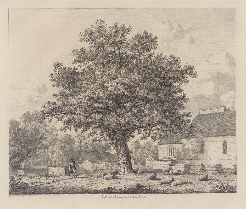 Maple in Boldre Church-Yard by Jacob George Strutt, 1826 — digital art print download