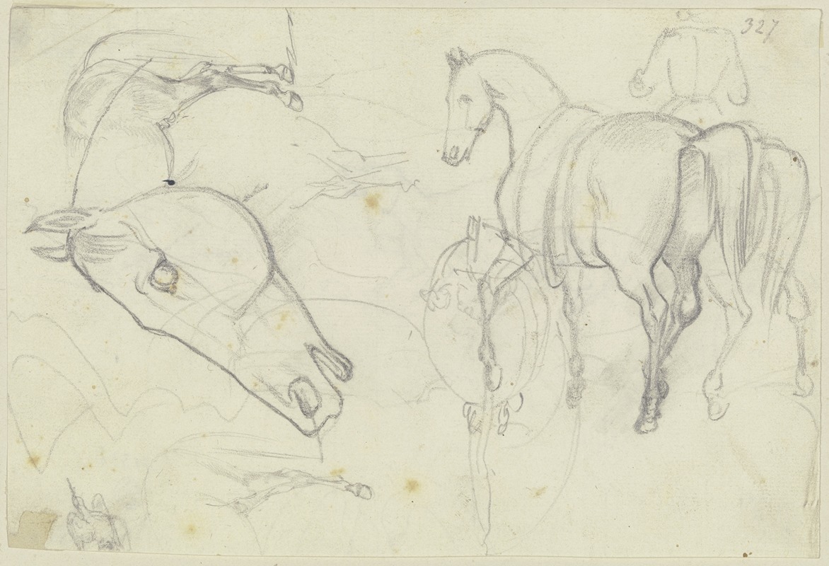 Studies of horses by Август Лукас — digital art print download