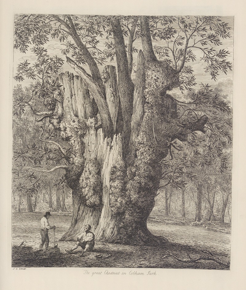 The Chesnut Tree Called The Four Sisters by Jacob George Strutt, 1826 — digital art print download