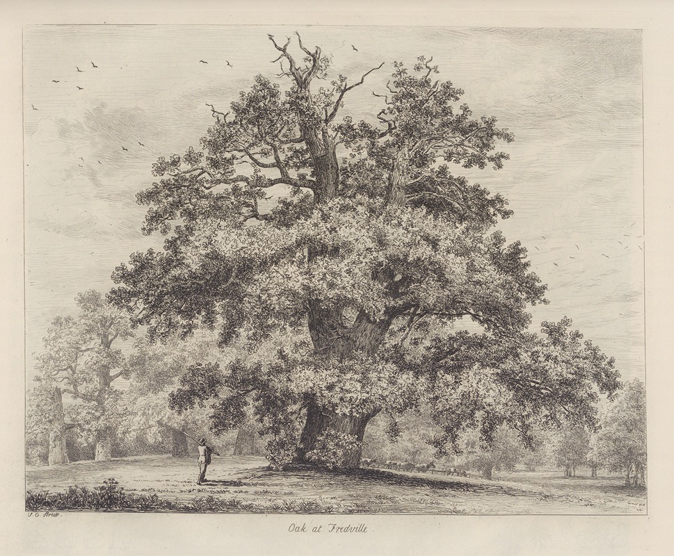 The Fredville Oak, Beauty — Jacob George Strutt