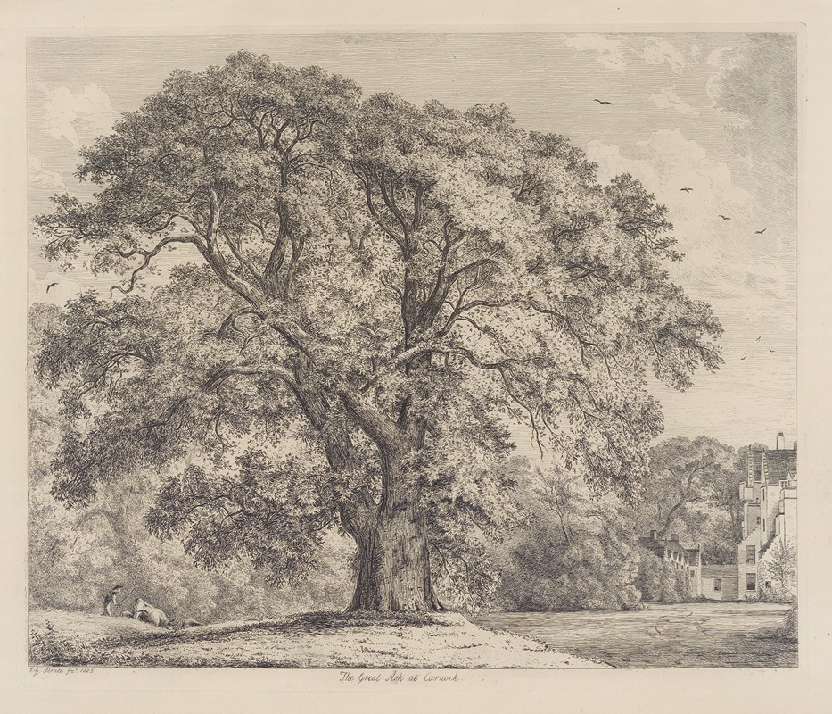 The Great Ash at Carnock by Jacob George Strutt, 1826 — digital art print download