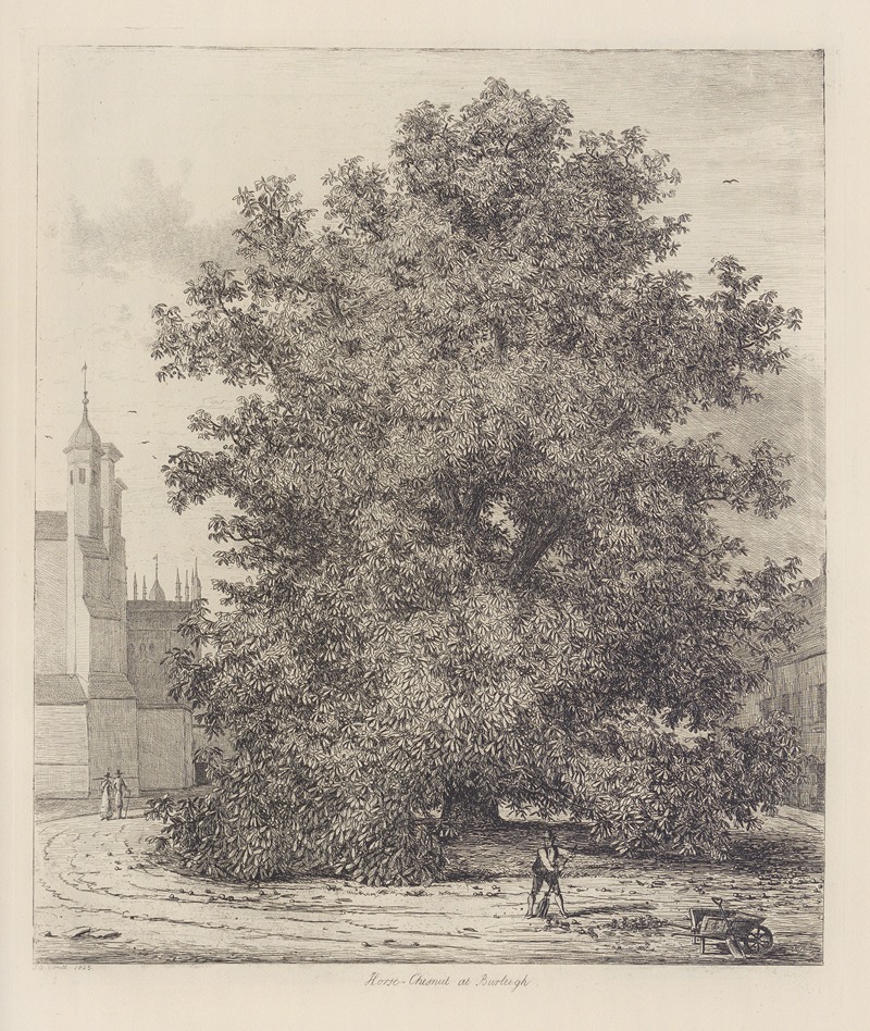The Horse Chesnut at Burleigh — Jacob George Strutt