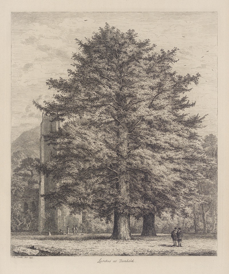 The Larches at Dunkeld by Jacob George Strutt, 1826 — digital art print download