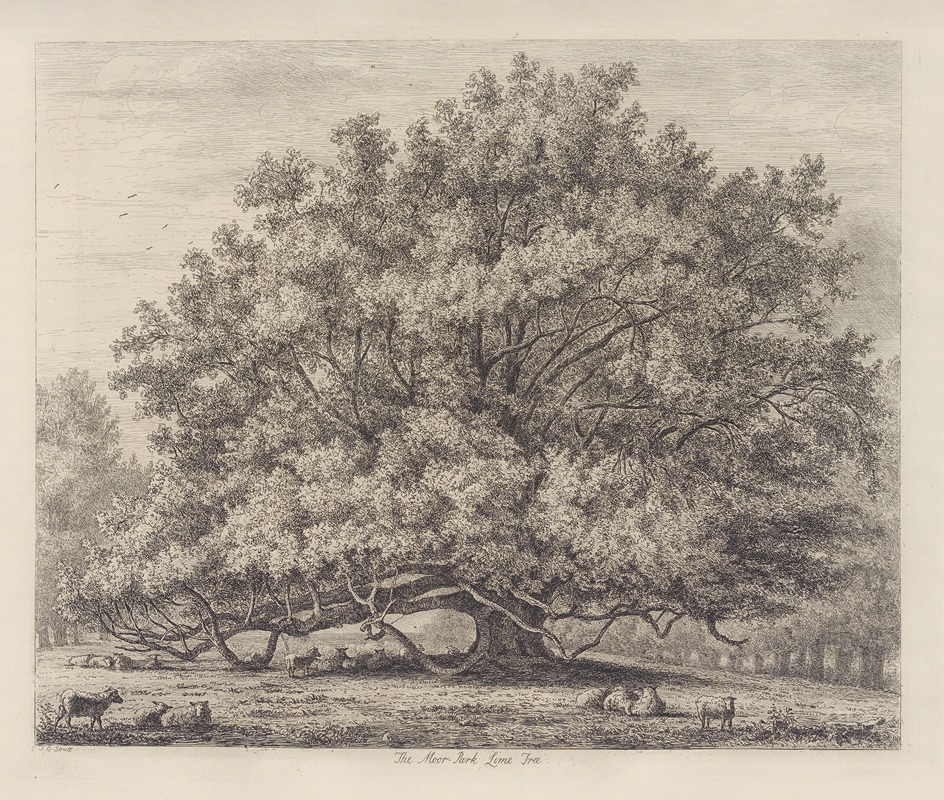 The Moor Park Lime Tree by Jacob George Strutt, 1826 — digital art print download