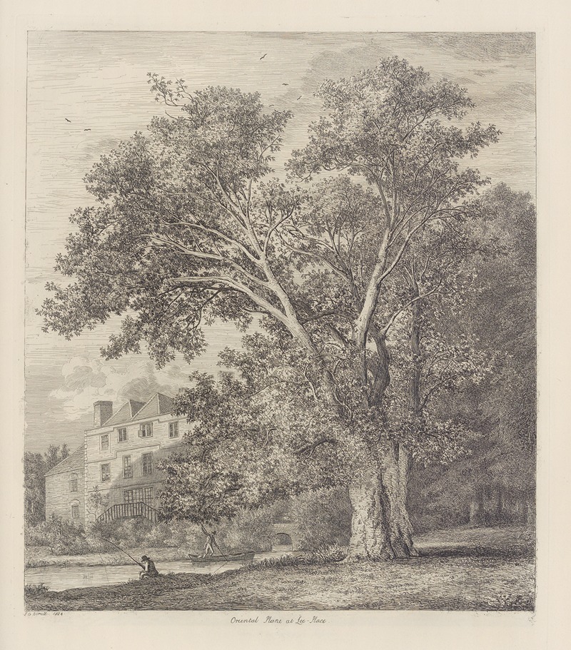 The Plane Tree At Lee Court by Jacob George Strutt, 1826 — digital art print download