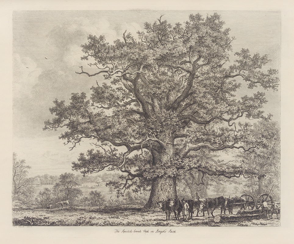 The Squitch Bank Oak by Jacob George Strutt, 1826 — digital art print download