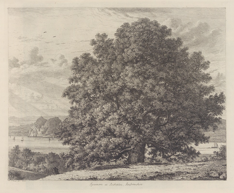 The Sycamore at Bishopton by Jacob George Strutt, 1826 — digital art print download