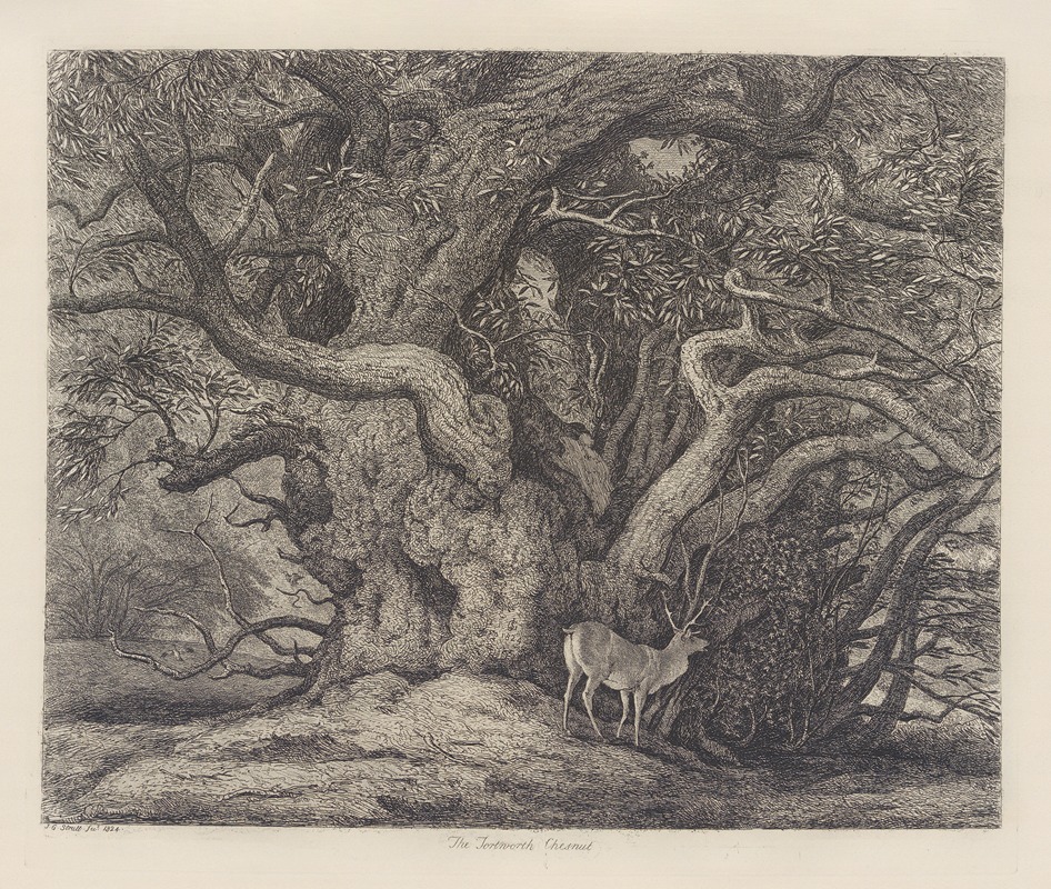 The Tortworth Chesnut by Jacob George Strutt, 1826 — digital art print download