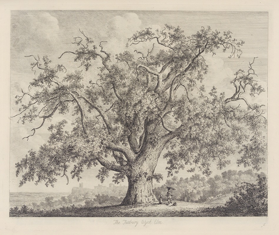 The Tutbury Wych-Elm — Jacob George Strutt