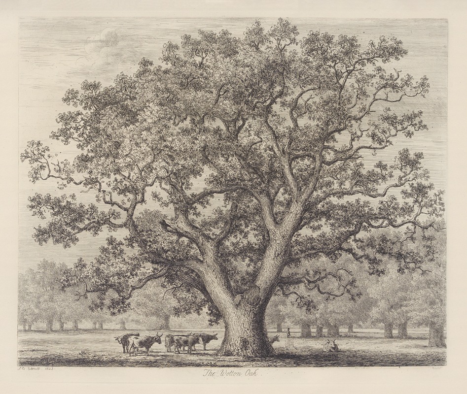 The Wotton Oak by Jacob George Strutt, 1826 — digital art print download