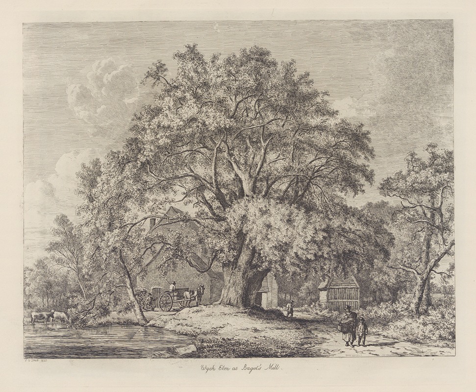 The Wych Elm at Bagot’s Mill — Jacob George Strutt