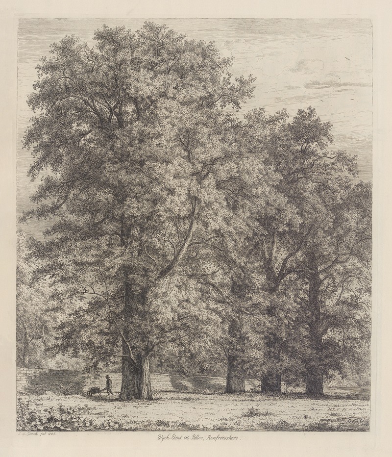 The Wych Elms at Polloc by Jacob George Strutt, 1826 — digital art print download
