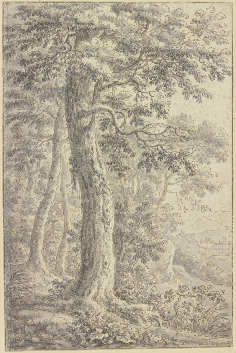 Waldlichtung mit Ausblick in ein offenes Tal — Бальтазар Антон Дункер